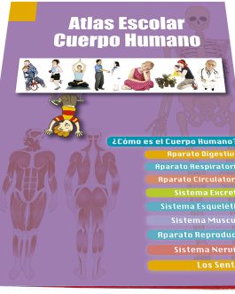 Atlas Escolar Cuerpo Humano
